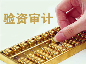 验资审计